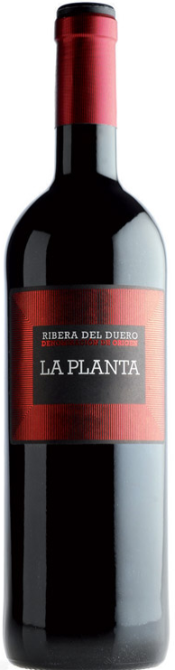 La Planta joven