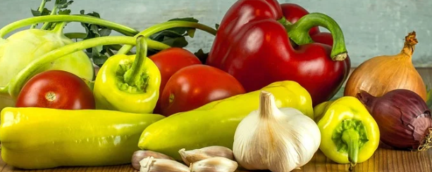 Conservas Vegetales
